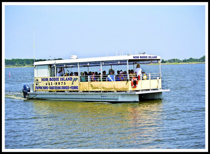 dolphin cruises nags head